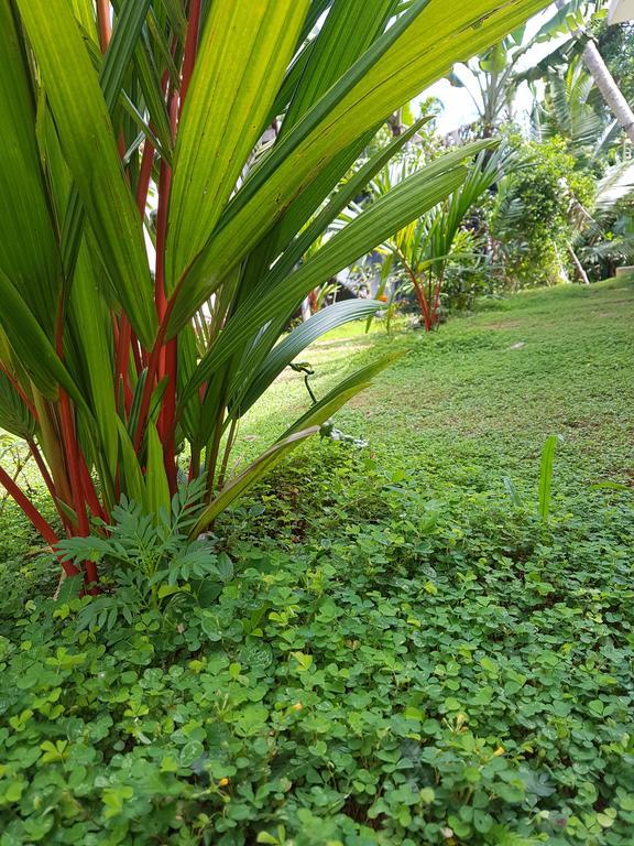South Heaven Villa Hikkaduwa Exterior photo