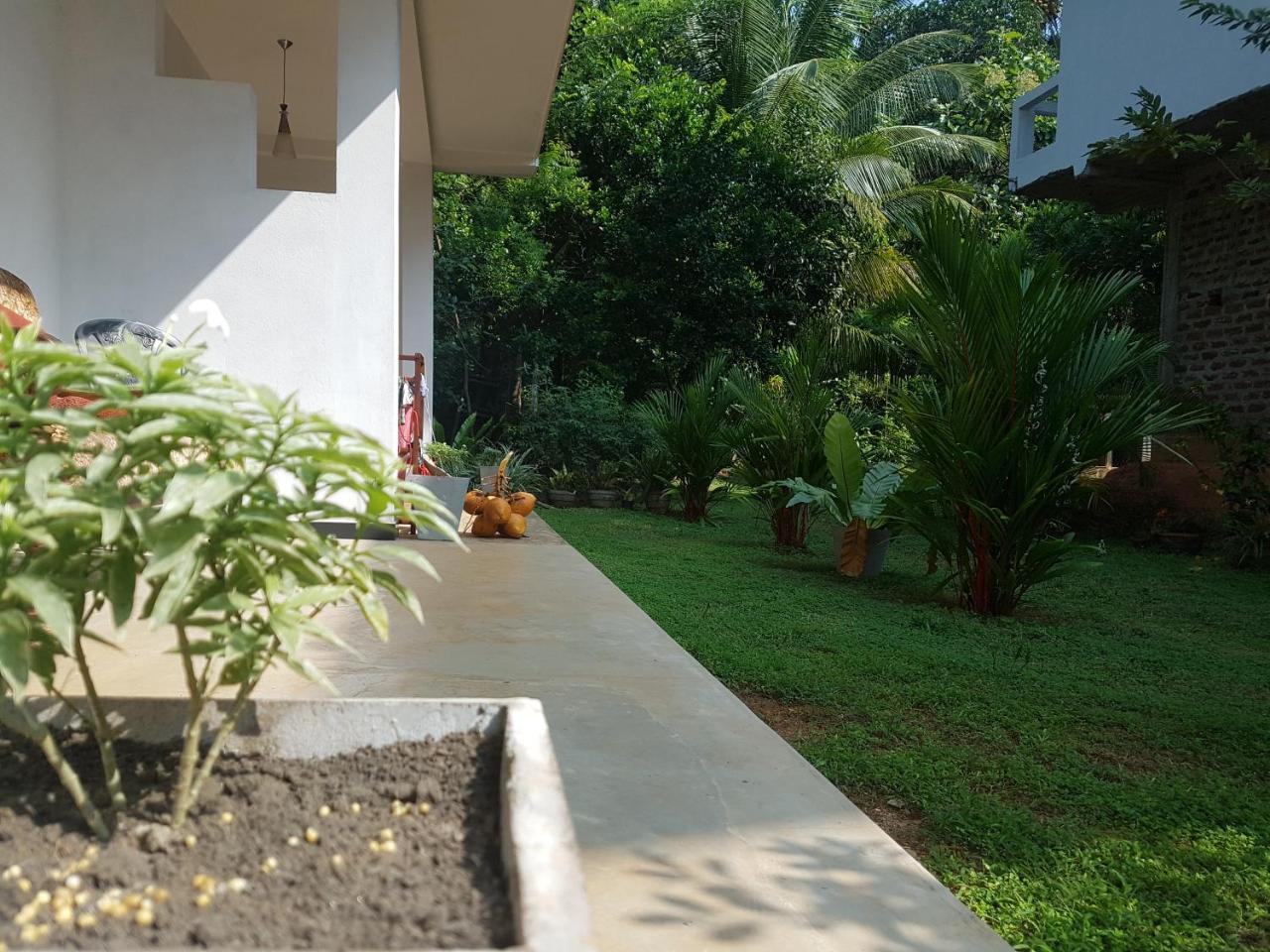South Heaven Villa Hikkaduwa Exterior photo